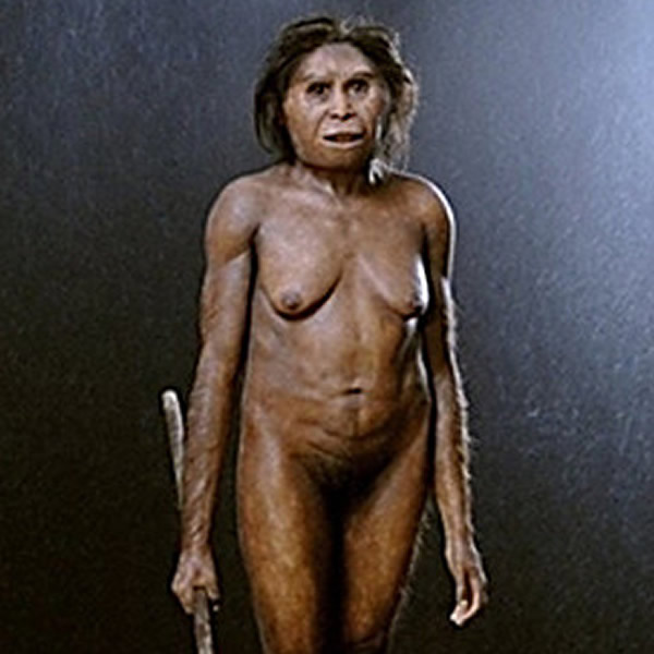 史前女性身形强壮,现代女性则纤细苗条,全是透过演化。