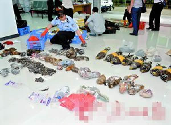 警方在疑犯民房发现大量动物尸体