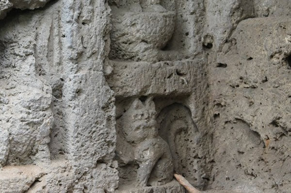 �����ɽ�ر�κ����Ⱥ����1600��ǰ���в�è��