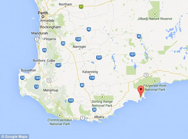 ʷ��ɭƵ����¼Ƭ��Ѱ�ҳ���ʳ�⶯�������豻���غ�����������