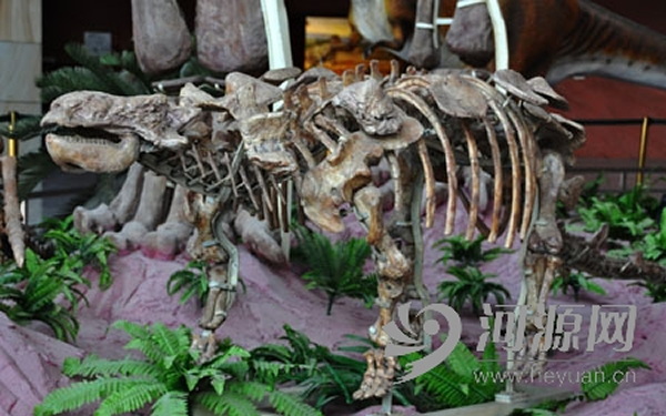 20137·ֵĿʯȷΪֻСԴչļģͲС