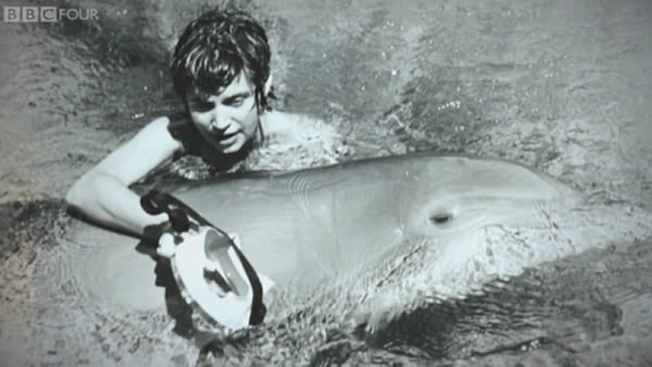 BBC纪录片《与海豚对话的女孩》(The Girl Who Talked to Dolphins)