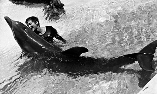 BBC纪录片《与海豚对话的女孩》(The Girl Who Talked to Dolphins)