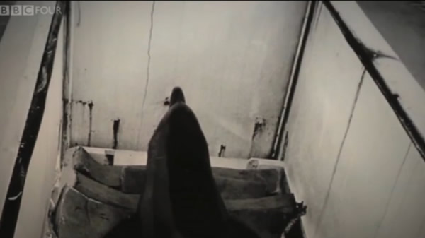 BBC纪录片《与海豚对话的女孩》(The Girl Who Talked to Dolphins)