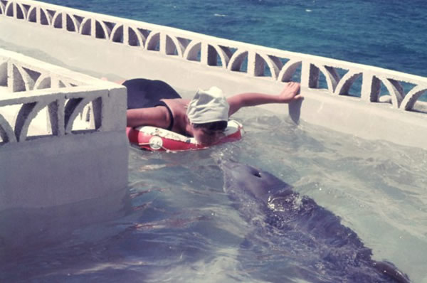 BBC纪录片《与海豚对话的女孩》(The Girl Who Talked to Dolphins)