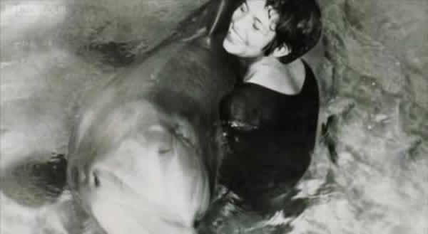 英国广播公司纪录片《The Girl Who Talked To Dolphins》将于本月17日播放