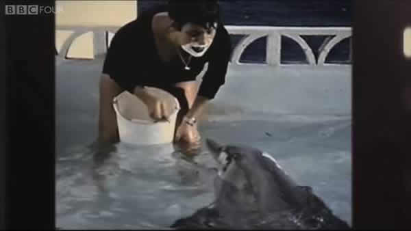 英国广播公司纪录片《The Girl Who Talked To Dolphins》将于本月17日播放