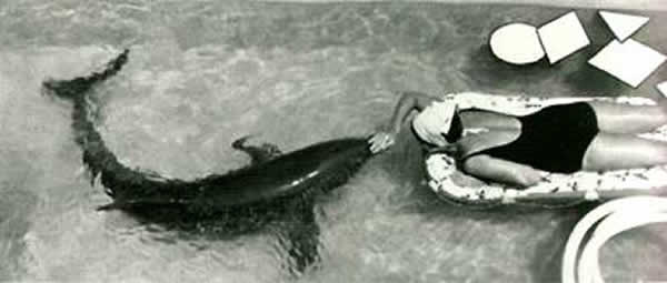 英国广播公司纪录片《The Girl Who Talked To Dolphins》将于本月17日播放