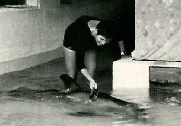 英国广播公司纪录片《The Girl Who Talked To Dolphins》将于本月17日播放