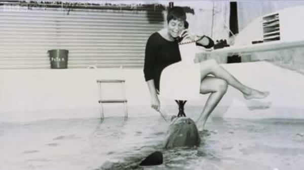 英国广播公司纪录片《The Girl Who Talked To Dolphins》将于本月17日播放