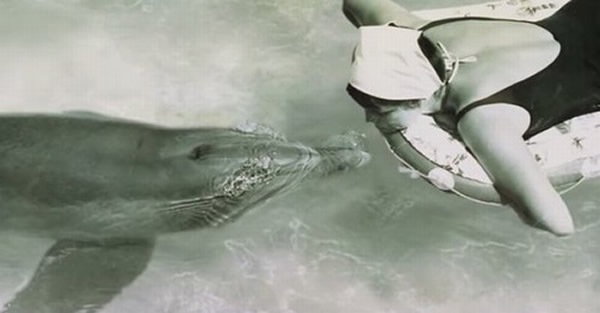 英国广播公司纪录片《The Girl Who Talked To Dolphins》将于本月17日播放