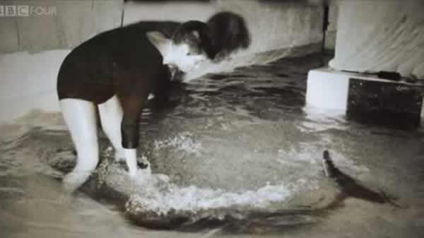 英国广播公司纪录片《The Girl Who Talked To Dolphins》将于本月17日播放