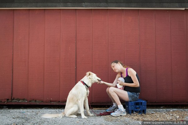 美国宠物摄影师《生命线》(Lifelines)系列作品:流浪者与他们的宠物