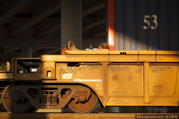 美国宠物摄影师《生命线》(Lifelines)系列作品:流浪者与他们的宠物