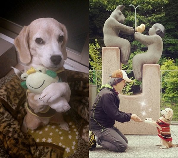 ˾棬ڲݵرݽ·Χֽۡкá