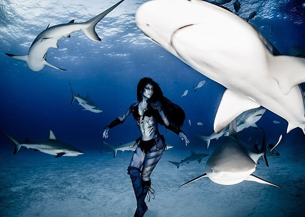 ӢŮģص͹Ĵ뻢 עⲶɱΪ