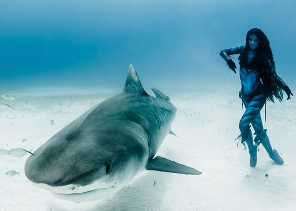 ӢŮģص͹Ĵ뻢 עⲶɱΪ