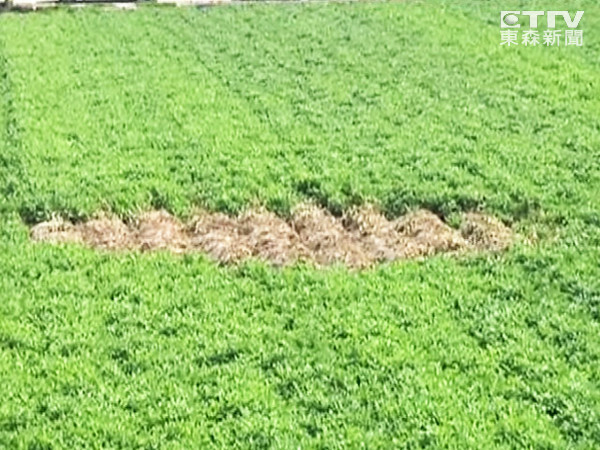 �����˽��٣�̨�����ֻ����ﾪ������������Ȧ��