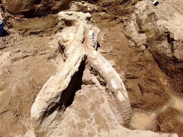 ѧīݴСɽҹ԰ھһֻʷǰͷǻʯ