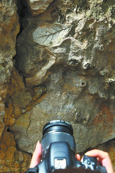 房屋外墙上随处可见化石,村民们早习以为常了,但外来的人们很是惊叹。