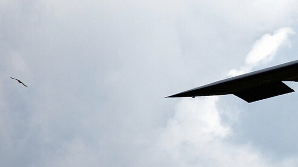 վB-2κըӢʱһֻͺӥײ