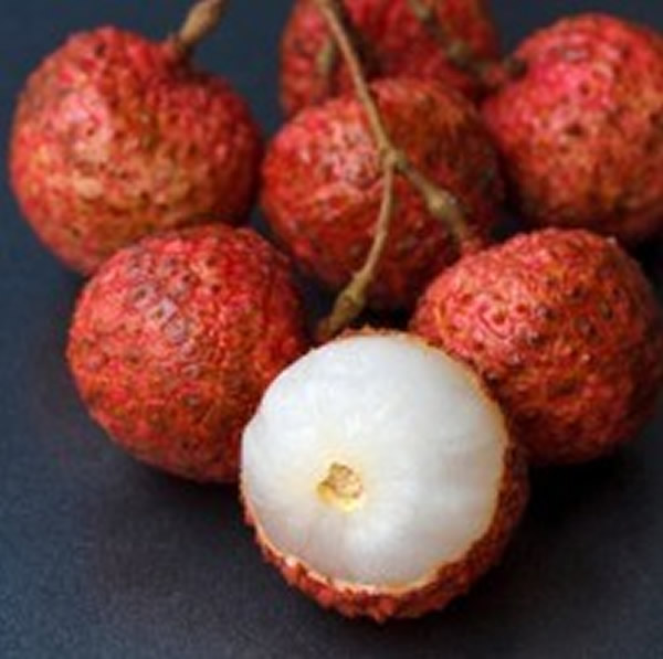 ӡ�ȱȹ�����ÿ��5��6����֦ʢ���ڱض�����֢״�����ձ����׵Ĺֲ�