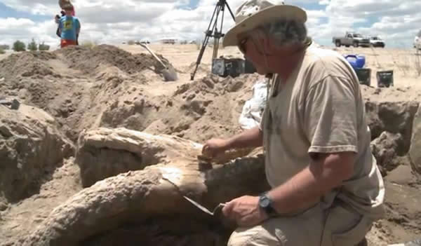 美国新墨西哥州象山湖国家公园发现300万年前巨型史前大象化石