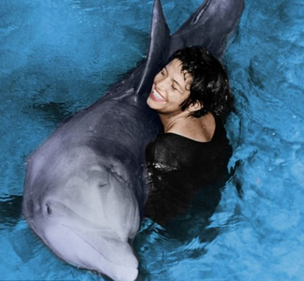 一个科学实验如何演变成 “人豚性事” ?