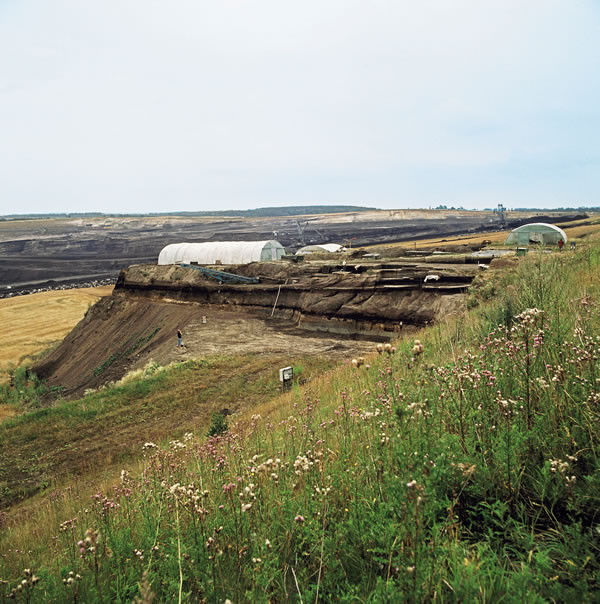 ¹ú󳤴ＸʮھʾԺʹȽߵ֤