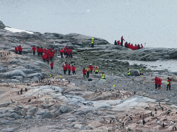 澳洲科学家警告:游客前往南极旅游将危害当地脆弱环境