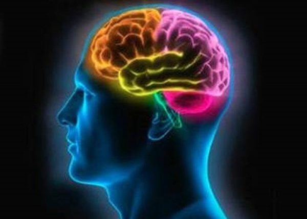 研究指人们参与竞争性游戏作决定时,受大脑物质多巴胺影响。