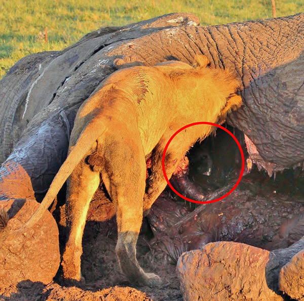 ֻмӢľ룬ʨӸûע⵽๷