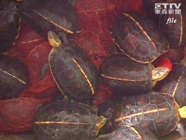 ����ʳ�߹� ���ڽ��á�̨����ౣ�����о����ġ�