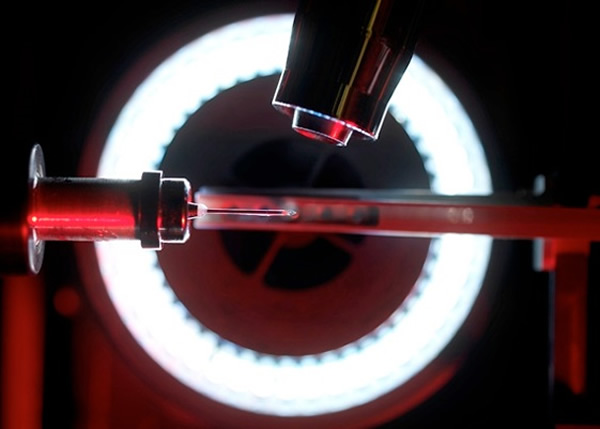 专家相信,此对付细菌的新办法,应不会令其产生抗药性。