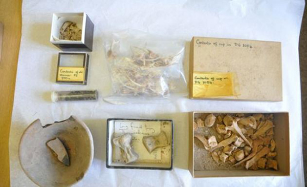 英国布里斯托尔大学清理实验室发现4500年前伊拉克古王墓祭品文物