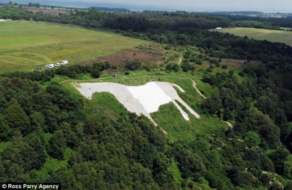 Ӣ��10��־Ը�߽�Լ�˿��İ����ر����·�ˢ