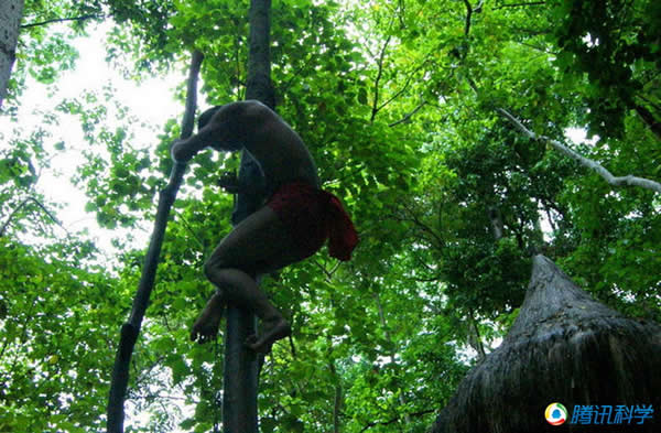 ���ɱ����ε���ʵ����֮ս