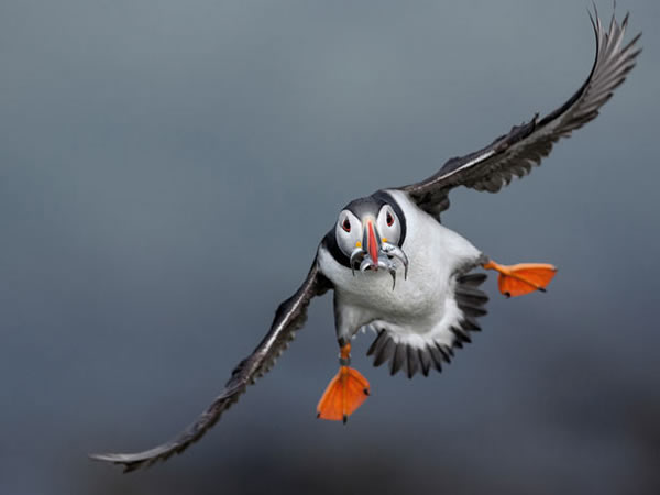 �ո�����ʿ����Ⱥ����һ�b�������л������䣬Ϊ�׳�����һ�͡����а���һ�������ʳ�Ĵ����ɶ����ˣ�ÿ�b��һ�οɵ��20�����ϵ��㡣Photograph by Da