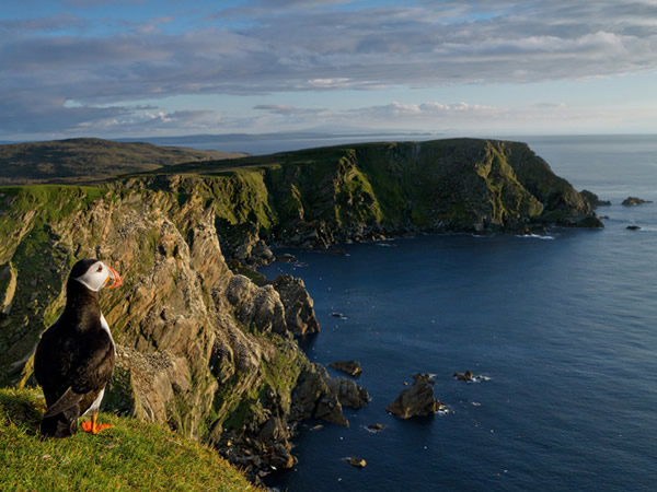 ��������Ⱥ���ĺ�����˹��������һ�b����Զ������ס������Ϊ������ǰ���󺣣����л������±��ڶ�������ͬʱ�����������ȡ����ʳ��ĺ�Ÿ����������Photograp