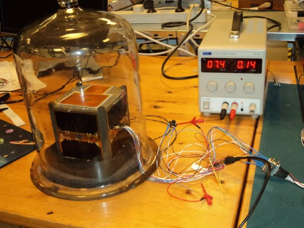 俄罗斯发射卫星追踪野生动物