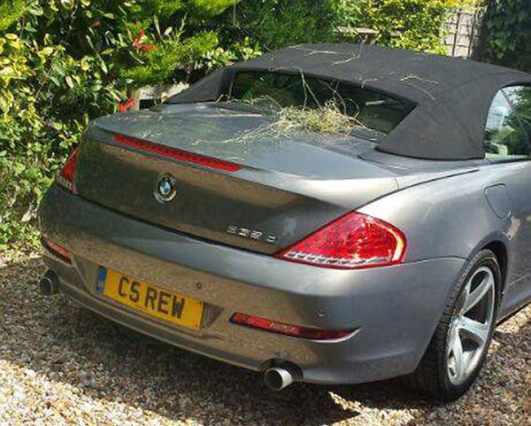 Ӣ����������콵���ɲ��ꡱ