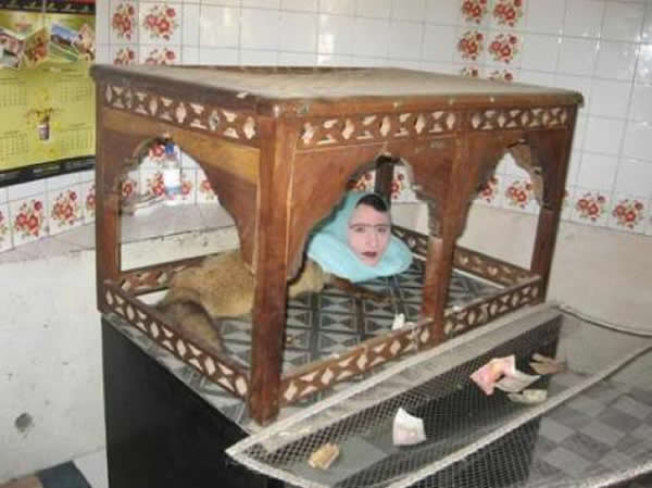 巴基斯坦卡拉奇市动物园竟然有一位半人半狐占卜师