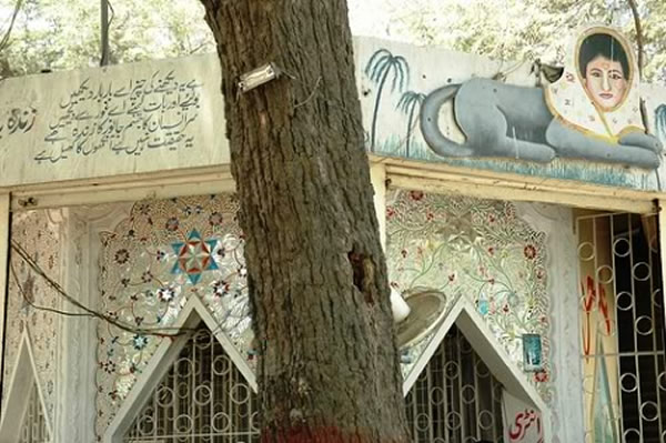 占卜师栖身在园内一处