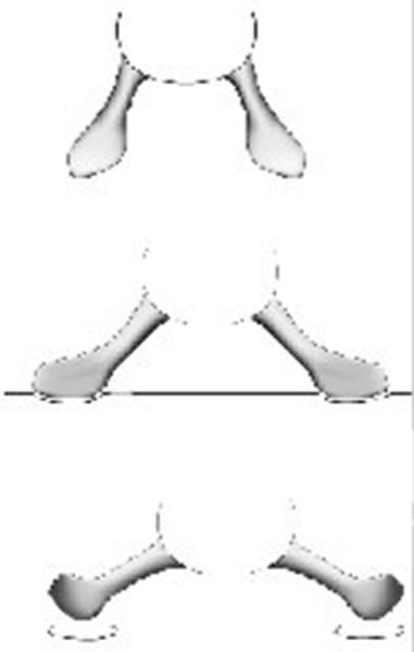 海相幻龙在游泳时,前肢可能是这样运动并且在水底留下痕迹。