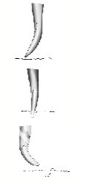 海相幻龙在游泳时,前肢可能是这样运动并且在水底留下痕迹。