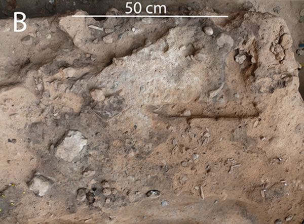 �������ᰲ�����˲�����ַ�з�������Ϊֹ��������ϵķ��