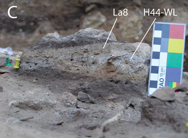 �������ᰲ�����˲�����ַ�з�������Ϊֹ��������ϵķ��