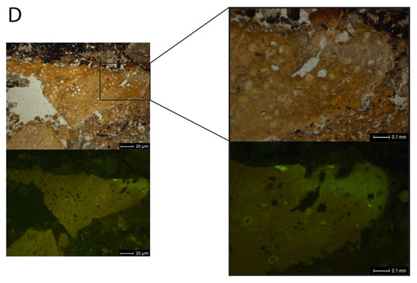 �������ᰲ�����˲�����ַ�з�������Ϊֹ��������ϵķ��