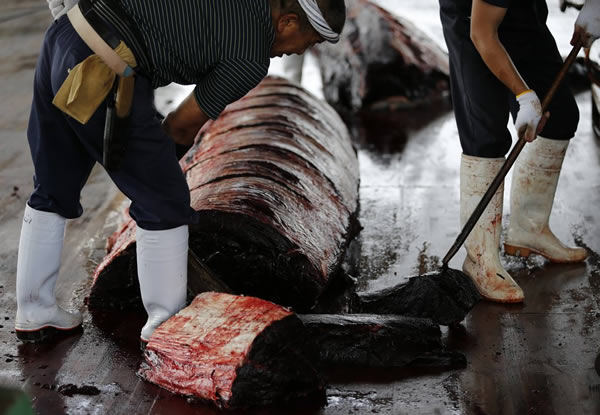 ձɱһͷ๾־һһȲڵĿʼ