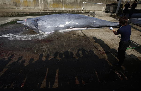 ձɱһͷ๾־һһȲڵĿʼ